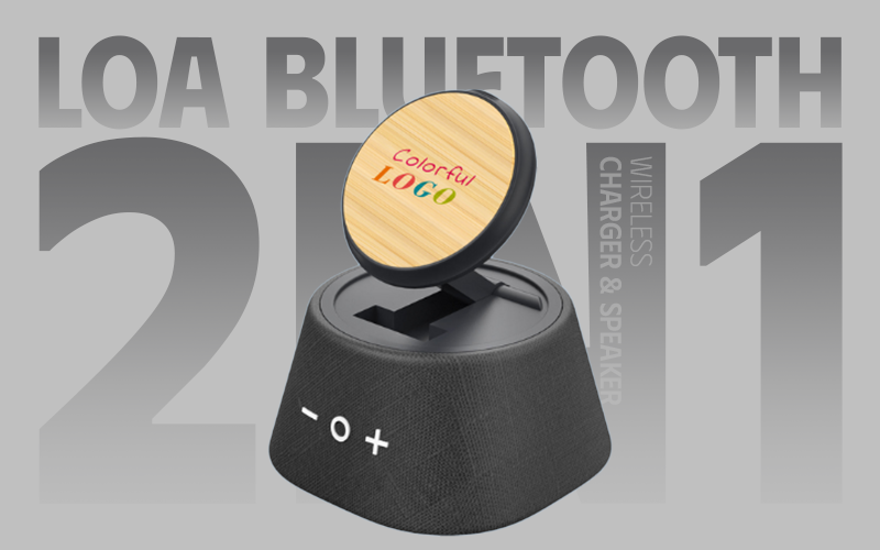 loa bluetooth 2in1