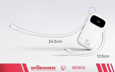 in logo pin sạc dự phòng