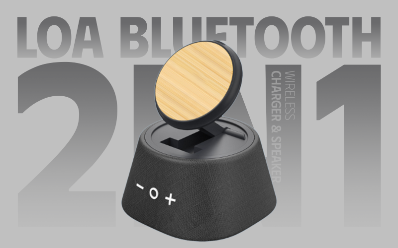 loa bluetooth 2in1