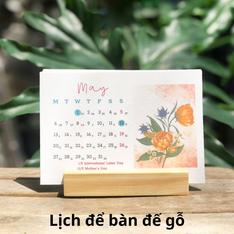 lịch đế gỗ