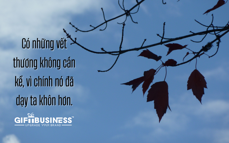 status cuộc sống gai góc