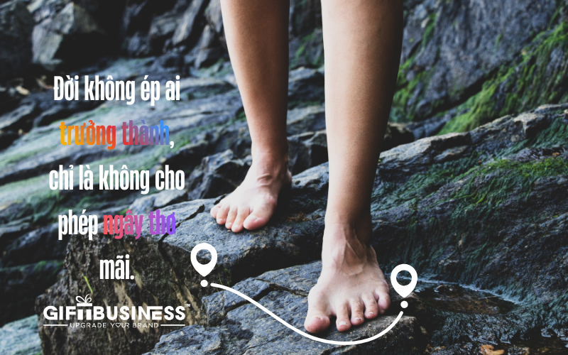 stt ngắn hay về cuộc sống