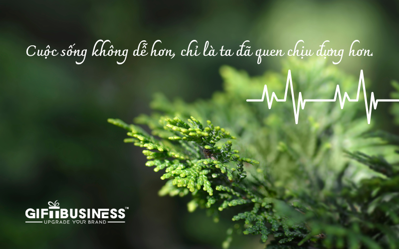 stt nói về cuộc sống