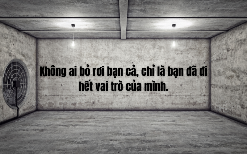 stt về cuộc sống chất