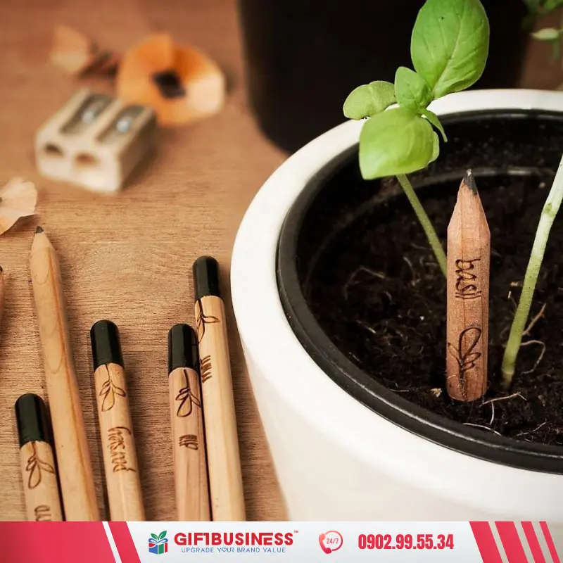 quà tặng thân thiện với môi trường bút chì mầm cây