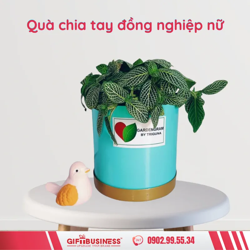 mua quà chia tay đồng nghiệp nữ
