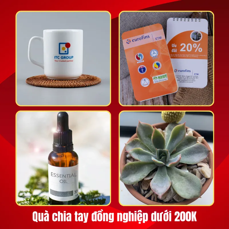 quà chia tay giá rẻ